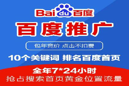 XX行业竞价广告的投放策略与效果分析